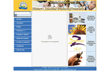 Tablet Screenshot of nsp.com.ve